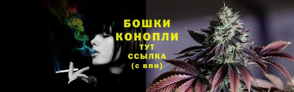 твердый Покровск