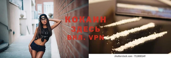твердый Покровск