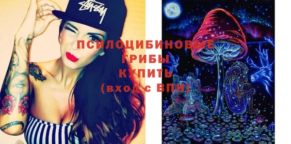 молекула духа Покачи