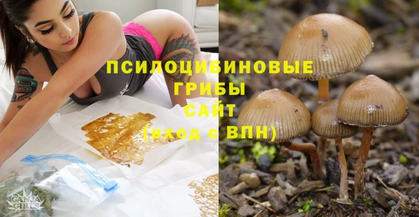 твердый Покровск