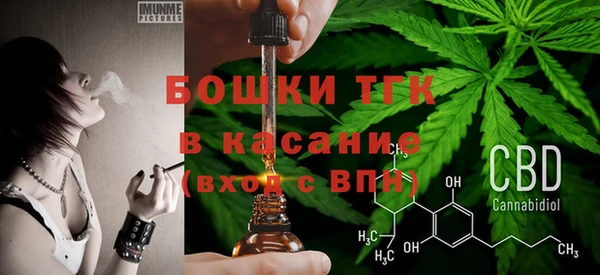 молекула духа Покачи