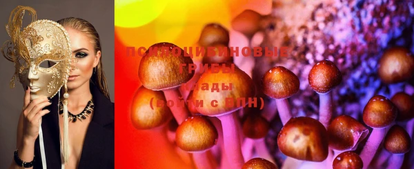 ECSTASY Покров