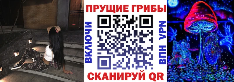 Галлюциногенные грибы GOLDEN TEACHER кракен как зайти Суоярви